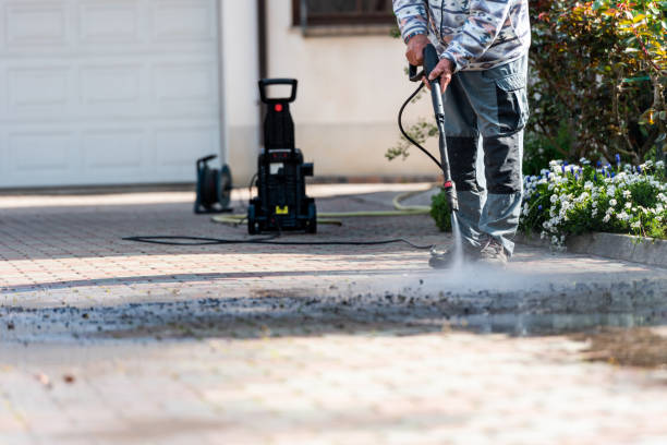 Best Exterior Home Cleaning  in Lake Placid, FL