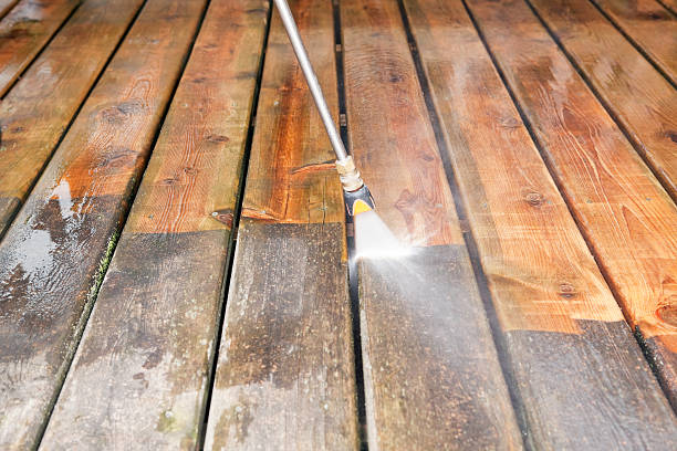 Best Pressure Washing Driveway  in Lake Placid, FL